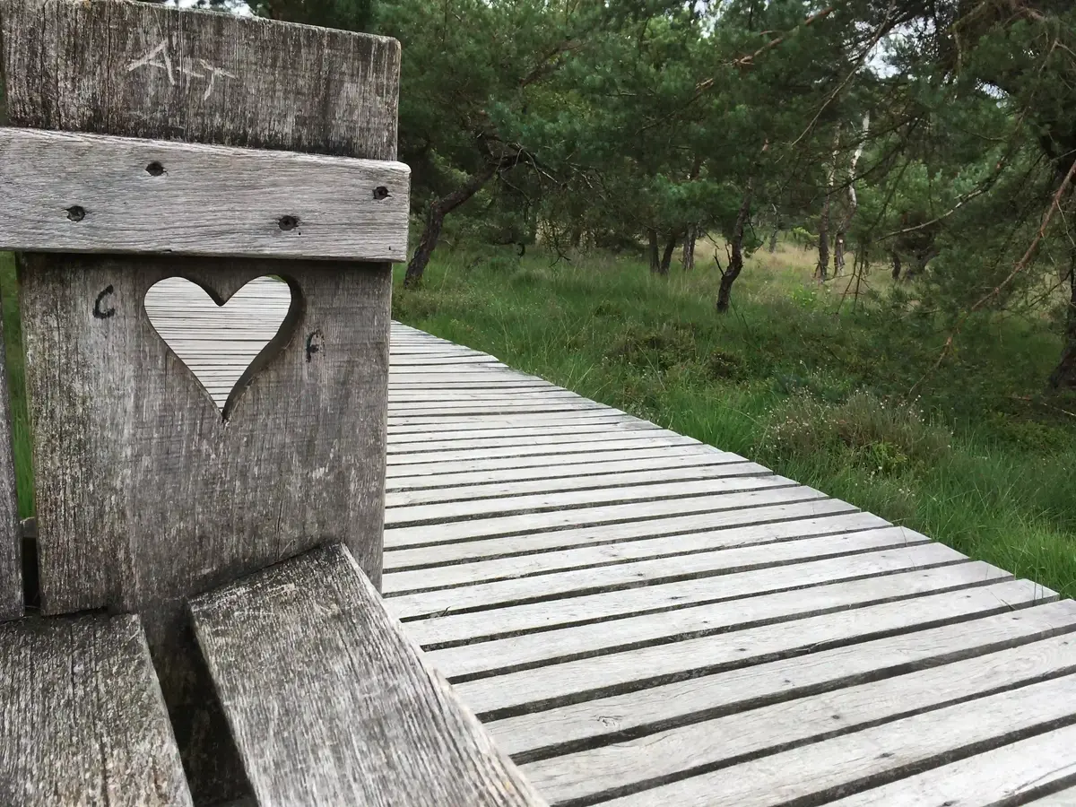 decoratieve foto van natuur uit Twente